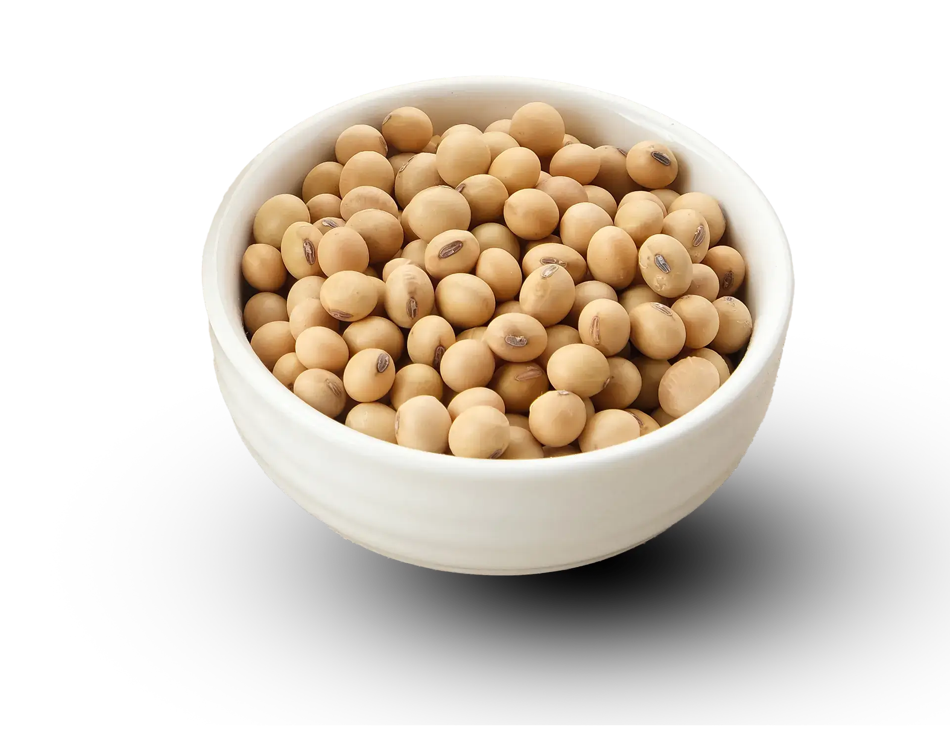 Soya